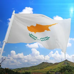 プロモーション製品工場カスタムロゴ安い3x5フィート100% ポリエステル耐久性のある屋外キプロス旗
