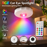 Projecteur LED RGB rechargeable à effet œil de chat avec télécommande, fixation magnétique Type C pour la décoration d'armoires et d'étagères