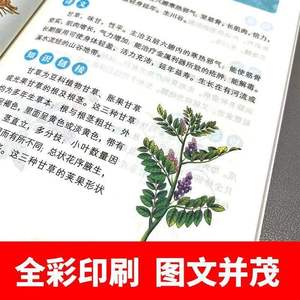 [Authentique] Le Classique de la Materia Medica de Shen Nong, Traduction Originale, <span class=keywords><strong>Travail</strong></span> de Fondation de la Médecine Traditionnelle Chinoise, Sagesse Ancienne - Product Image 4