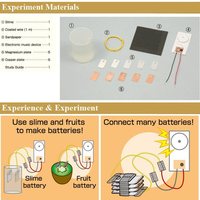 Schleim-Kraft-Wissenschafts-Set Bio-Batterie-Experiment Kinder STEM Lehrreiches Chemie-Spielzeug Stromerzeugung Geschenkset