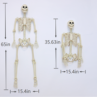 Squelette grandeur nature de 165 cm avec 360 articulations, accessoire effrayant pour Halloween, corps entier suspendu