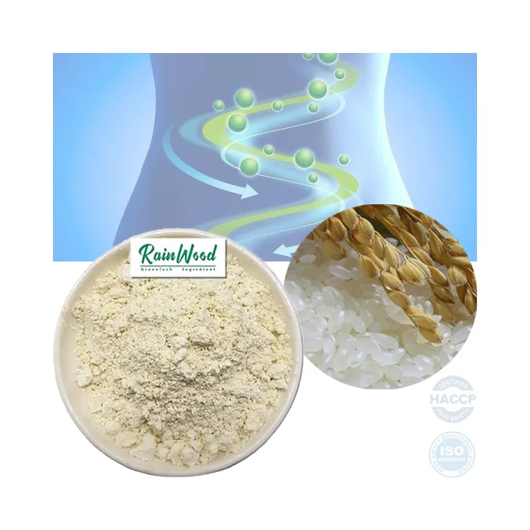 HACCP certified factory supply high quality organic rice protein 80% with fast delivery