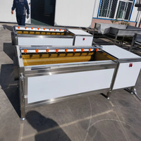 Industriële aardappel-, wortel- en yam-schilmachine van roestvrij staal 304