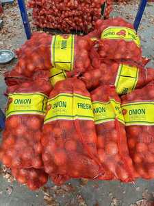 Nova Colheita Fresca Cebolas Amarelas 20kg Exportação Da China Cebolas Vermelhas e Cebolas Melhor Preço Por Tonelada - Product Image 6