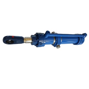CD250 OEM/ODM Hydraulic Metallurgical Cylinder With Ce Certificate Compact Structure Good Sealing Performance Easy Maintenance H - Product Image 6