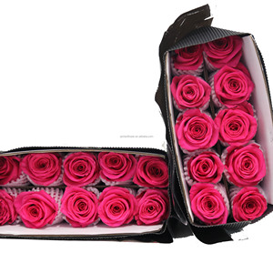 Rosa Rosa Fresca Premium All'ingrosso, Rosa Fresca Tagliata, Centro Floreale DouNan, Bouquet, Beloved Express, Attraverso i Miei Sogni - Product Image 3