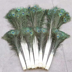 Vente en gros 25-140cm plumes <span class=keywords><strong>de</strong></span> <span class=keywords><strong>paon</strong></span> naturelles plumes <span class=keywords><strong>de</strong></span> queues <span class=keywords><strong>de</strong></span> <span class=keywords><strong>paon</strong></span> pour montage <span class=keywords><strong>de</strong></span> mouches, carnaval sac à dos Costume décorations pour la maison - Product Image 6