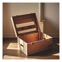 Une caisse avec un loquet de couvercle qui se ferme parfaitement à chaque fois