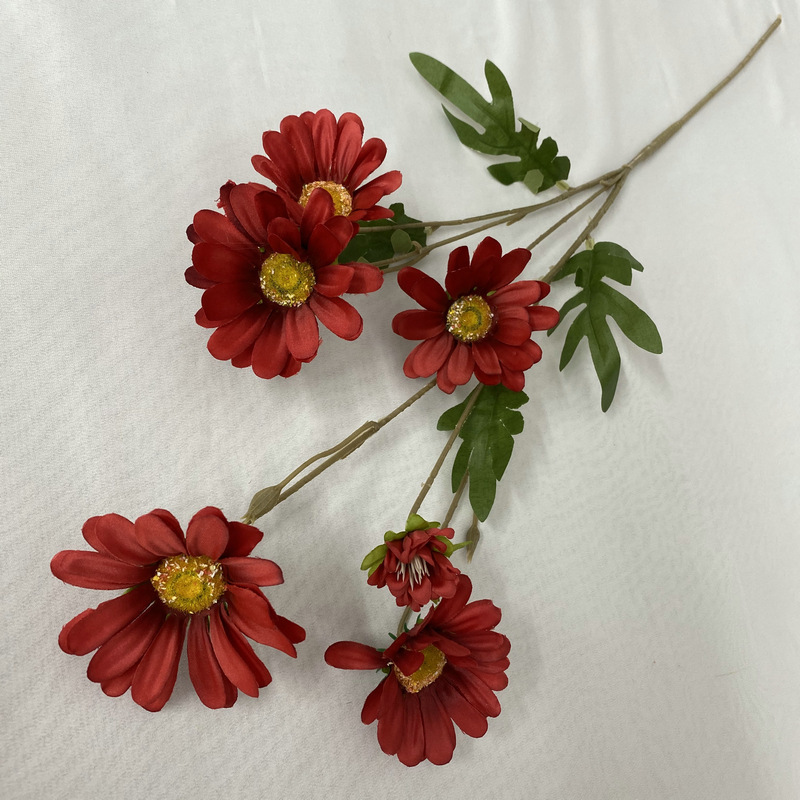 Marguerite à 6 têtes à longue tige