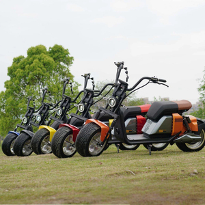 Scooter électrique Citycoco à gros pneus 3000W homologué CEE pour adultes - Product Image 5
