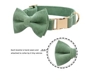 Coleira de veludo personalizada, coleira para cachorros e gatos personalizados, elegante e personalizada, itens para animais de estimação - Product Image 3