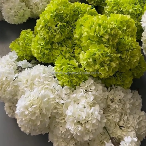 CM-TH1267 più venduto bianco verde singolo testa ortensia 20cm di seta ortensia fiore verde - Product Image 2