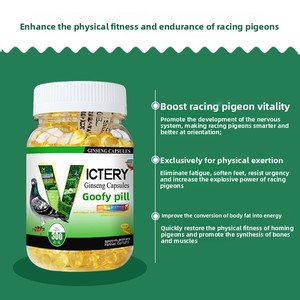 Píldoras Gaofei para <span class=keywords><strong>Palomas</strong></span> de Competición, Medicina Natural para el Cuidado de la Salud, Mejora la Velocidad de Competición y el Acondicionamiento Físico - Product Image 4