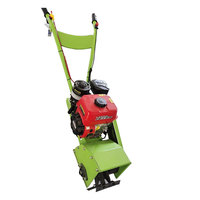 Moteur à essence pour désherbeuse, boîte de vitesses, roulement, moteur agricole, économie de main-d'œuvre, haute efficacité, largeur de coupe 400 mm, démarrage manuel
