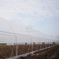 Équipement agricole GT, système hydroponique, serre multi-spans en film plastique, serres en plastique