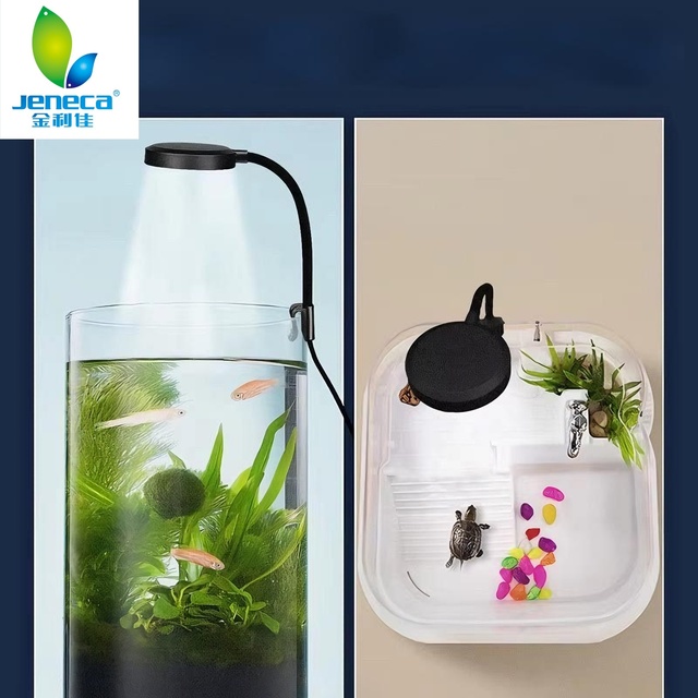 Jeneca D-1 Best-Selling 3W Nano USB Aquarium Light Fish Tank LED Clamp Light Wholesale New Product Made of Plastic