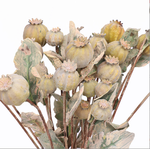 N-070卸売フェイクジプソフィラポピーカプセル種子フルーツ枝人工ポピー屋外ガーデン装飾用 - Product Image 2