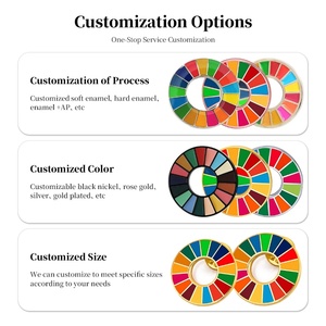 Pas cher personnalisé ODD couleur anneau badges objectif de développement durable plaidoyer cercle broches pour les événements caritatifs et récompenses de reconnaissance - Product Image 4