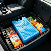 Brique de glace réutilisable de qualité alimentaire pour sac isotherme, conservation au froid longue durée, pour transport alimentaire et camping