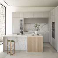 Ensemble de meubles de cuisine modernes de luxe sur mesure avec îlot en marbre et verre, unités de rangement hautes et robinet inclus pour appartement/salle à manger/cuisine
