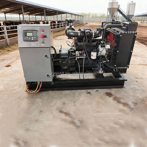 Generador Eléctrico Diésel Silencioso Chino de 10kva 12kva 15kva 20kva en Venta - Product Image 4