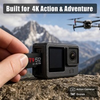Carte mémoire SD 256 Go T9 U3 A2 V30 200 Mo/s pour drones, caméras d'action, Pocket4