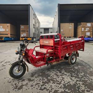 Triciclo de 200cc Más Vendido, Carro de Tres Ruedas con Carrocería Abierta/Cerrada para 2 Pasajeros - Product Image 1