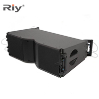 RIY-210 Haut-parleur de scène professionnel d'extérieur, double 10 pouces, Line Array, aimant néodyme, 8/4 Ohm, système audio actif/passif en métal