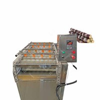 Machine à laver la canne à sucre, brosse de nettoyage pour canne à sucre, machine à laver les fruits et légumes (gingembre, manioc, pommes de terre)