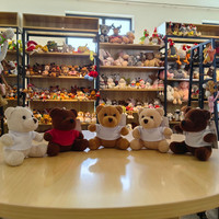 Porte-clés petit ours en peluche avec T-shirt de différentes couleurs jouet ours en peluche cadeau pour enfants