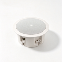 Haut-parleur de plafond encastré à faible distorsion, son clair, 30W, 92dB, woofer/tweeter 5 pouces, pour usage commercial intérieur, enceinte PA