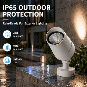 Projecteur LED COB basse tension OEM DC24V haute efficacité 110lm/W IP65 pour éclairage extérieur de villas, immeubles commerciaux et promoteurs immobiliers - Product Image 1