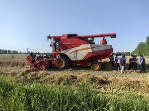 Колесный комбайн Lovol GM100 одинарный Продольный молотильный барабанный комбайн - Product Image 5
