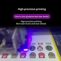 Imprimante d'étiquettes 3D à encre UV de 600mm de large pour vêtements, chapeaux, étiquettes en cuir, nouveau 1 an de garantie