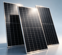 Module solaire bifacial double vitrage de type N DHM66D50-TP 710W, 210 mm, 132 cellules, panneau PV transparent pour système d'énergie solaire