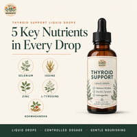 Gouttes liquides de soutien thyroïdien 60ml Sélénium Iode Zinc L-Tyrosine Ashwagandha Complément liquide à base de plantes pour usage quotidien