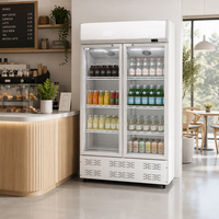 Réfrigérateur à boissons en gros avec verre Low-E, éclairage LED, température 2-8°C, idéal pour supermarchés, restaurants, hôtels et bars