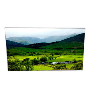 Pantalla LCD WLED de alta calidad P645HVN02.2 de 65.0 pulgadas 1920*1080 para señalización digital - Product Image 1