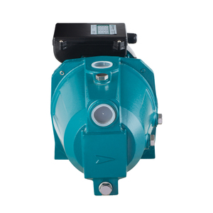 Pompe à eau auto-amorçante à jet éjecteur de haute qualité, série 20 mètres, Jet150at-1, 1,5 CV, IP44, pour alimentation et drainage - Product Image 4