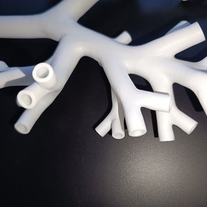 Kyrenmed <span class=keywords><strong>3D</strong></span> xơ phế quản mô hình với khay Kích thước cuộc sống nhựa cấp bốn bronchus <span class=keywords><strong>Simulator</strong></span> cho bronchoscopy đào tạo mô hình - Product Image 6