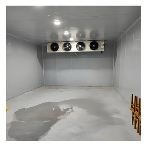 Almacén logístico de cadena de frío a gran escala personalizado equipo de refrigeración a gran escala para almacenamiento de alimentos - Product Image 5