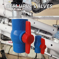 Vanne à boisseau sphérique en PVC personnalisable, accessoires pour tuyaux d'eau en plastique avec support OEM