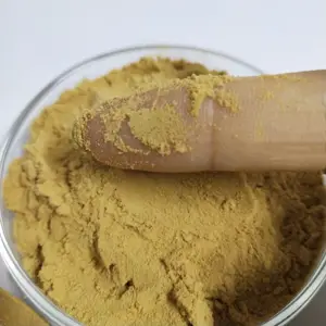 Price Extract Powder Hot Sales Organic Lion's Mane Mushroom Extract Powder