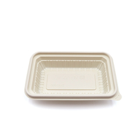 Boîte à lunch jetable écologique en plastique, vaisselle de restaurant, ensemble de dîner, étanche à l'huile et à l'eau, rectangulaire, en PP, avec charnière