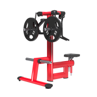 Exercice commercial Fitness professionnel plaque de musculation chargée Double bras épaule formateur latéral augmenter double Machine