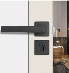 Fashion Design nero opaco copertura quadrata in acciaio inox zinco leva quadrata maniglia della porta interna contemporanea maniglia della porta - Product Image 5