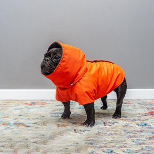 Qiqu Pet Supplies Personnalisé Nouveau Designer Bouledogues Français Imperméables Imperméables Chien Printemps Automne Manteau Frenchies Veste <span class=keywords><strong>Carlin</strong></span> Chien Vêtements - Product Image 6