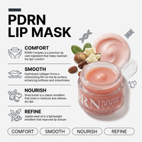 Masque de nuit pour les lèvres PDRN à marque privée, baume à lèvres végétalien avec PDRN, collagène et beurre de karité pour une hydratation longue durée et des lèvres plus douces