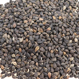 Số lượng lớn giá tatar 25kg 18kg gói Khô đắng Đen tartary kiều mạch - Product Image 2