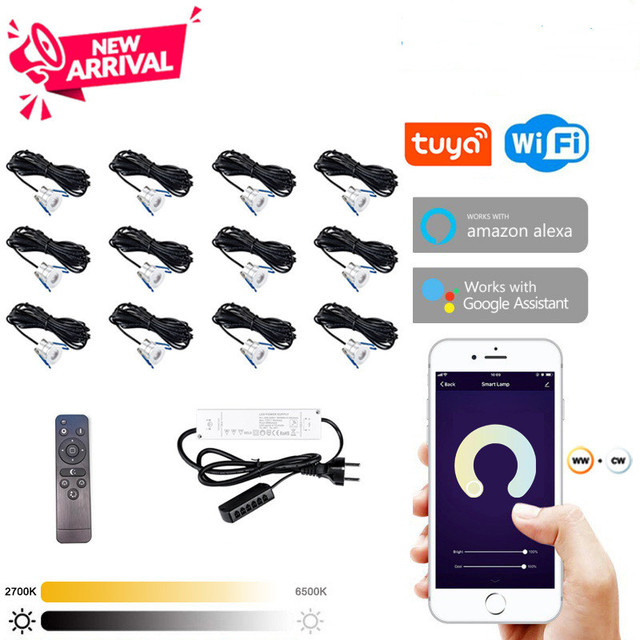 Dimmable LED Mini Downlights IP65 CCT Changeable Spotlight Phone Remote Applying with google Assistant Tuya App.